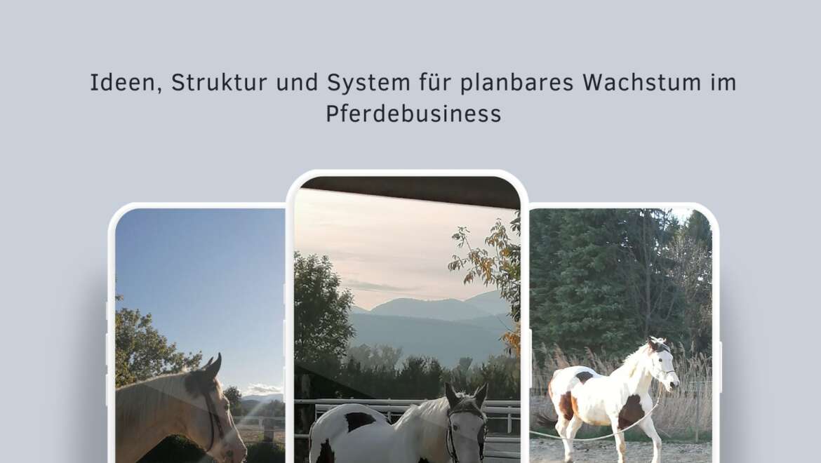 Social Media als Akquise Motor für Pferdeprofis
