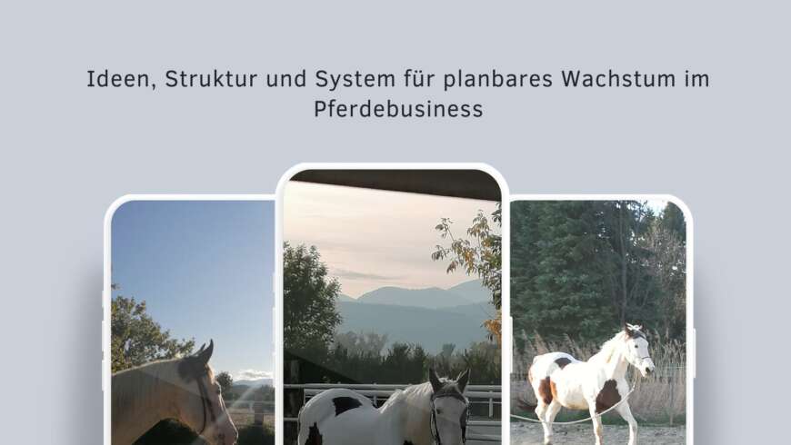 Social Media als Akquise Motor für Pferdeprofis