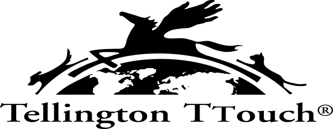 Tellington TTouch® Trainings Seminare