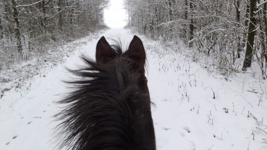 Der Winter steht vor der Tür